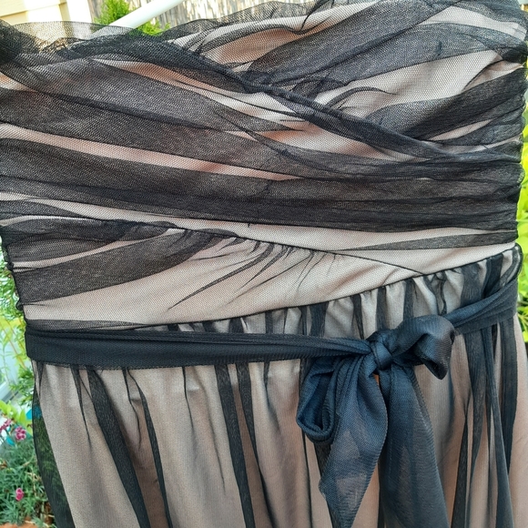 Mystic Black Beige Lace Floral Strapless Cocktail Midi Dress w Ribbon, Size S - Picture 10 of 12